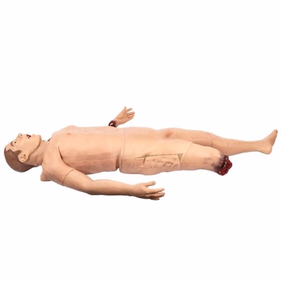 TOMManikin - BASIC - rt side